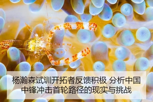 杨瀚森试训开拓者反馈积极 分析中国中锋冲击首轮路径的现实与挑战