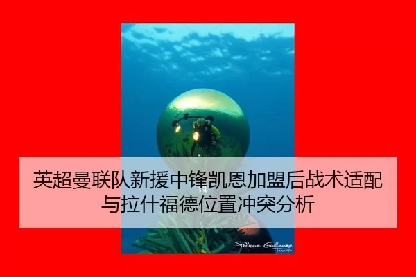 英超曼联队新援中锋凯恩加盟后战术适配与拉什福德位置冲突分析