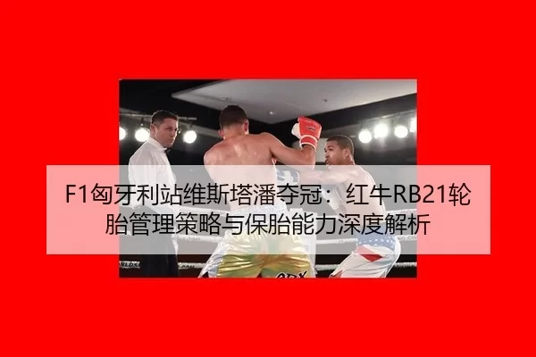 xiong-ya-li-zhan-wei-si-ta-pan-duo-guan-hong-niu-lun-tai-guan-li-ce-lve-yu-bao-tai-neng-li-shen-du-jie-xi-2-833.jpg